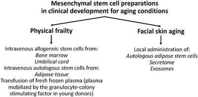 Recent clinical trials with stem cells to slow or reverse normal aging processes